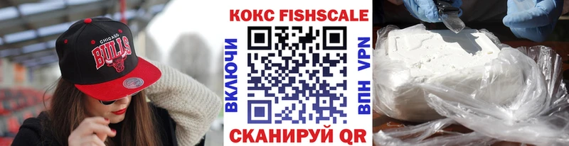 КОКАИН Fish Scale  купить наркоту  ОМГ ОМГ сайт  Темников 