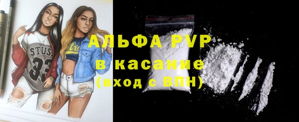 шишки Аркадак