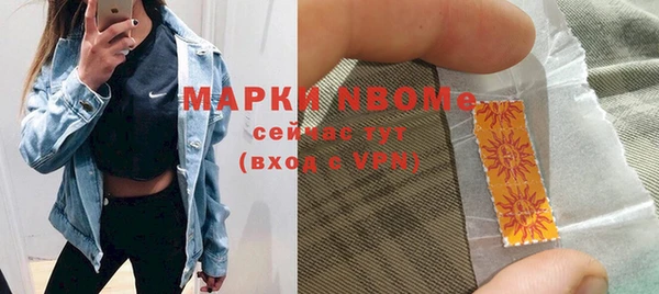 шишки Аркадак