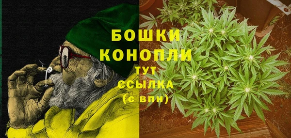 шишки Аркадак