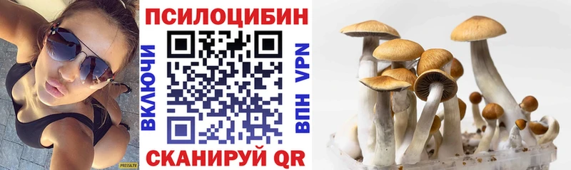 Галлюциногенные грибы Cubensis  Темников 